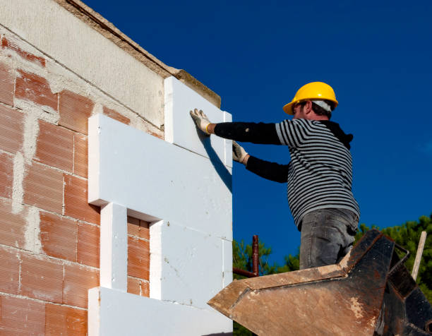 Best Soundproof Insulation Installation  in Aurora, MO