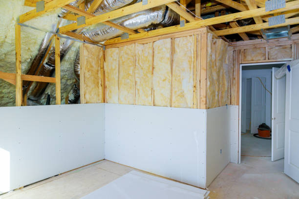 Best Cellulose Insulation  in Aurora, MO