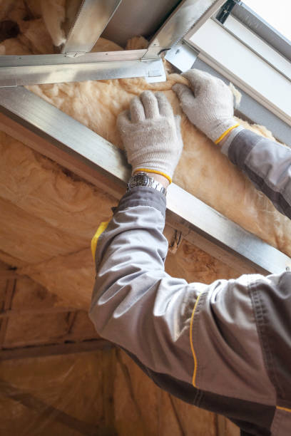 Best Fiberglass Insulation  in Aurora, MO