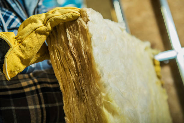 Best Affordable Insulation Services  in Aurora, MO