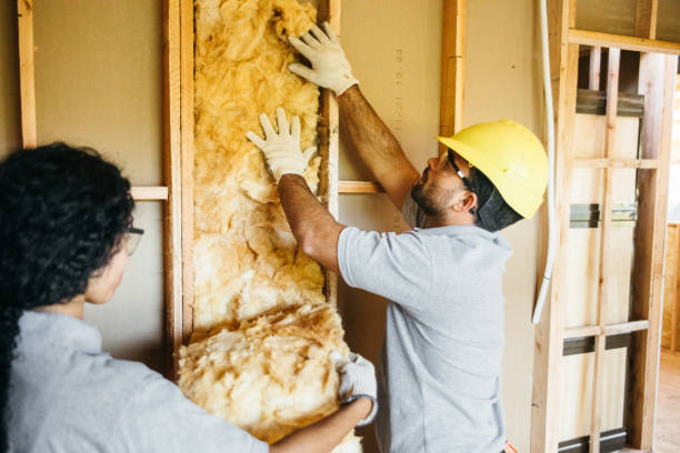 Insulation Repair Services in Aurora, MO