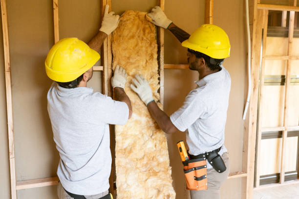 Best Insulation for New Construction  in Aurora, MO