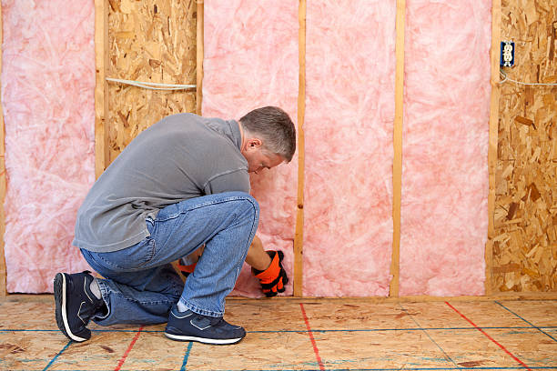 Best Insulation Contractor Near Me  in Aurora, MO