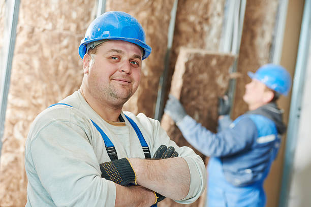 Best Wall Insulation Contractor  in Aurora, MO