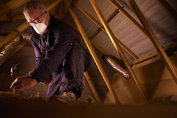 Best Best Insulation Companies  in Aurora, MO