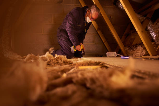 Best Insulation Contractor Near Me  in Aurora, MO