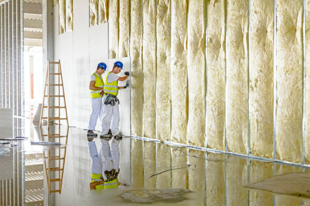 Best Cellulose Insulation  in Aurora, MO